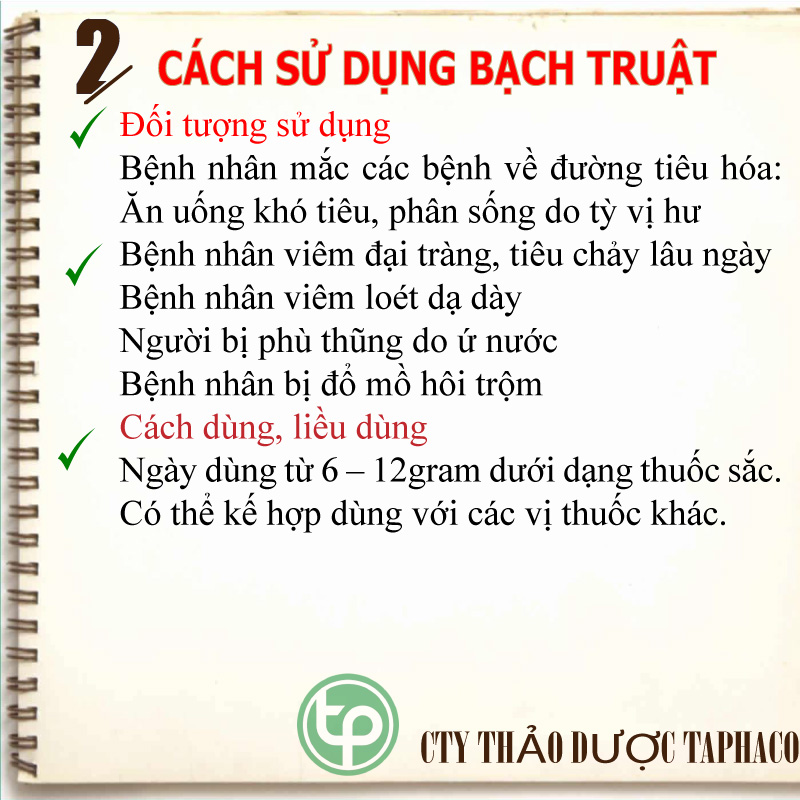 Bạch truật sấy khô 500g - Thảo Dược Tấn Phát