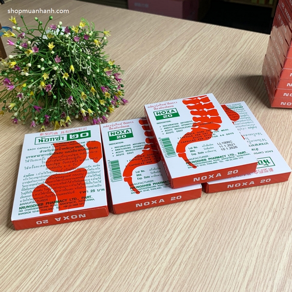 Khớp thái lan NOXA (lốc 12 hộp)