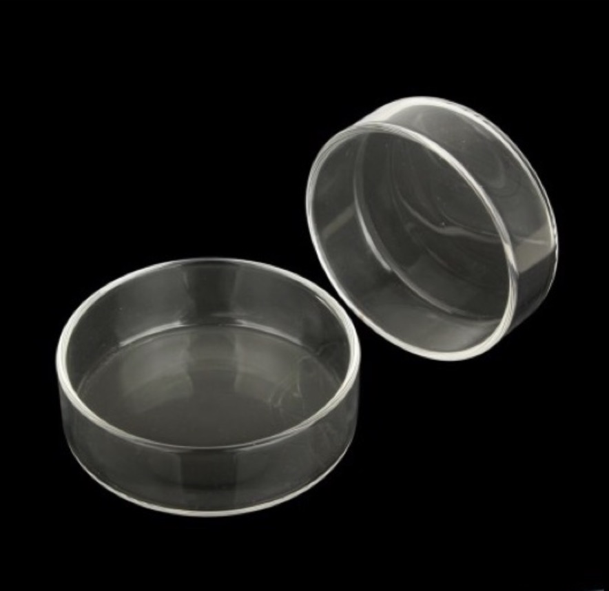 [Hoàn Tiền 10%] Chén cho tép ăn- Dụng cho cho tép ăn bằng thủy tinh- Phụ kiện bể cá cảnh thủy sinh tép cảnh