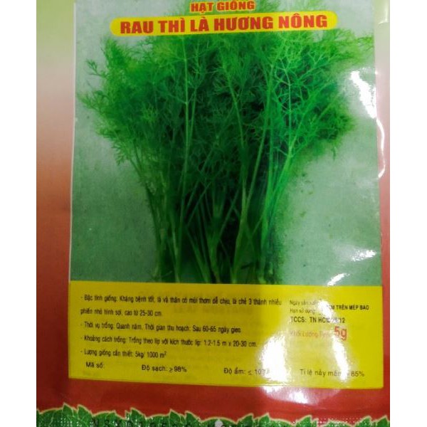 Hạt Rau Thì Là - Gói 5 Gram