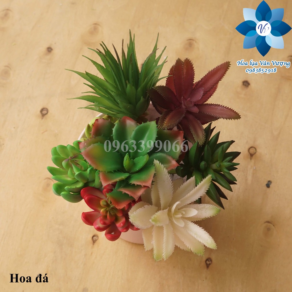Hoa Đá Nhựa Hoa Sen Đá Giả Cỡ Nhỏ