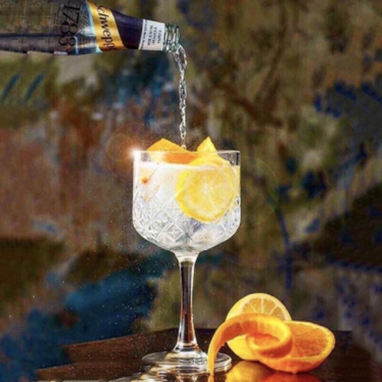 440237 - Gin Tonic Glass - Ly Thủy Tinh