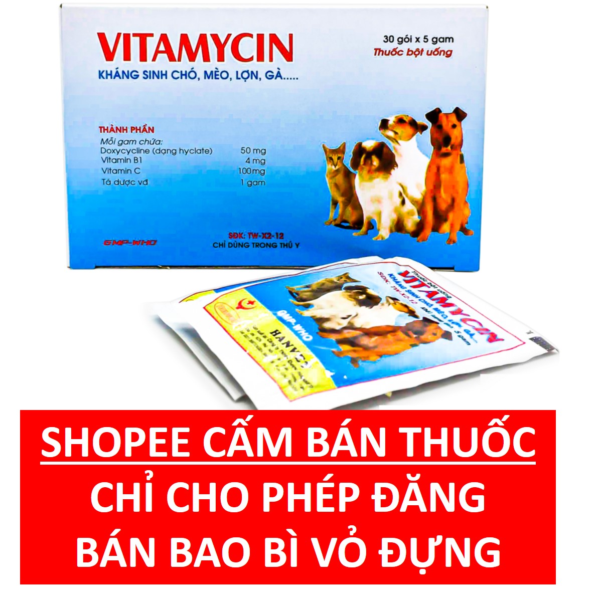 Kháng sinh chó mèo thuốc phòng trị bệnh thú cưng