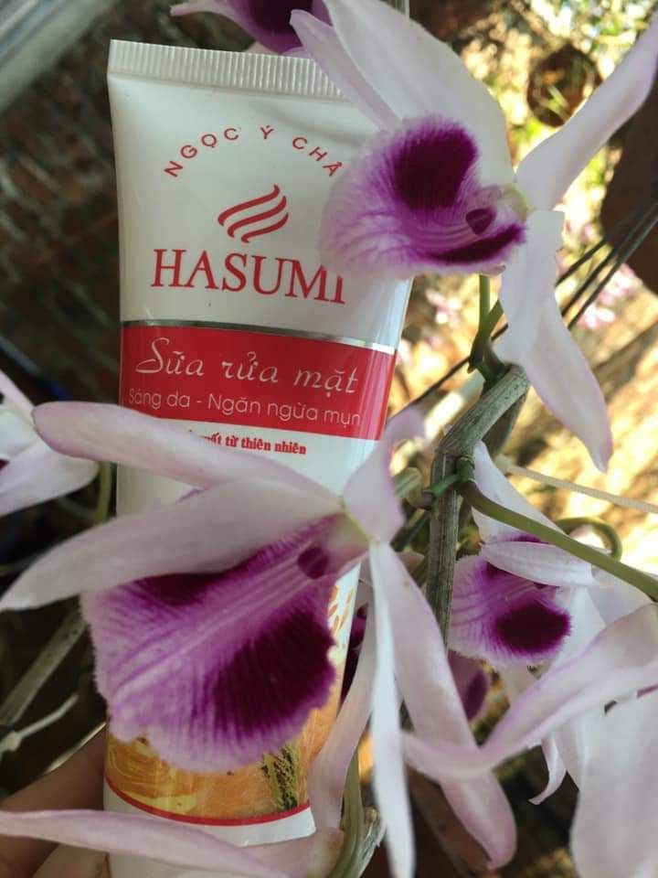 Sữa rửa mặt Hasumi