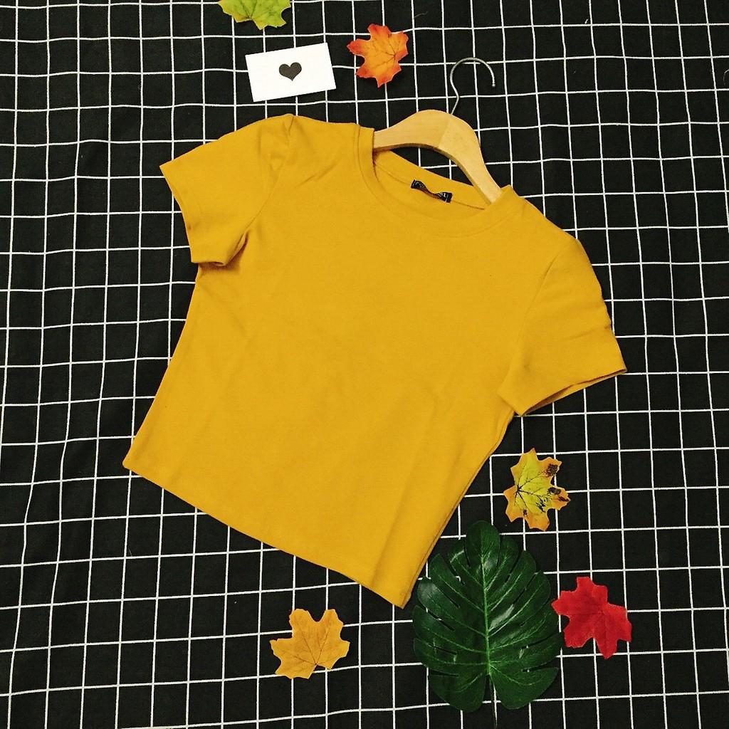 Áo phông crotop cộc tay ôm body