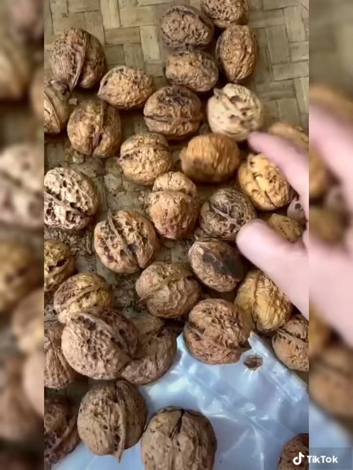 1KG ÓC CHÓ RỪNG SAPA MỎNG VỎ BÉO NGẬY