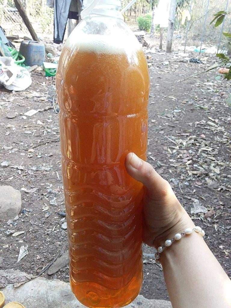 1 kg phấn hoa cà phê Daklak