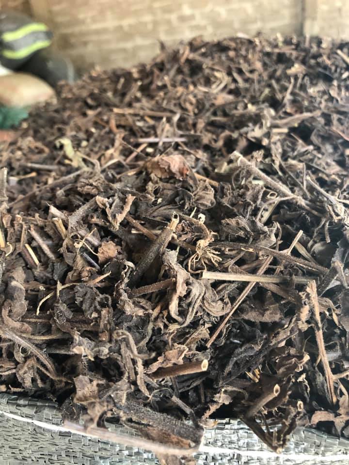 1kg Nhân Trần khô thơm, ngọt, sạch