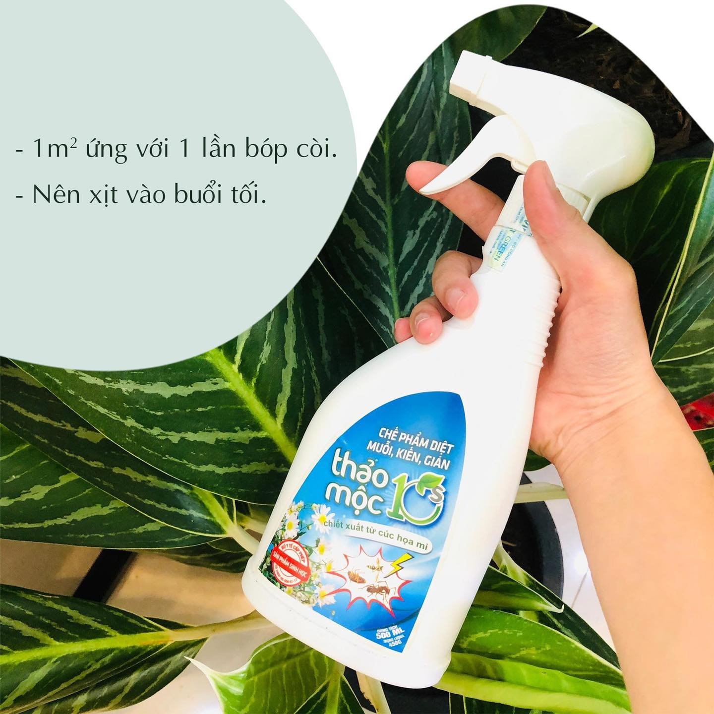 Bình xịt diệt Kiến, Gián, Muỗi Thảo mộc 10s