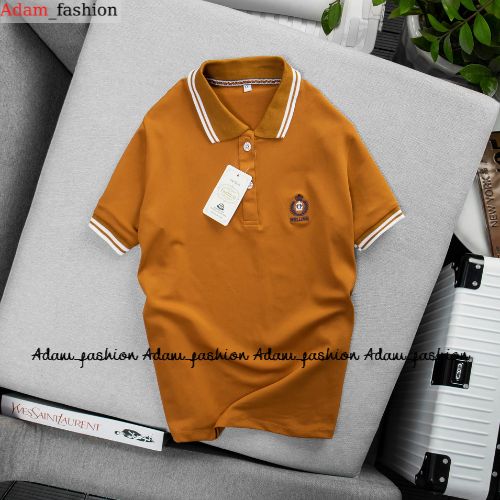 Áo thun polo nam áo thun nam cổ bẻ chất thun cá sấu mềm mịn Adam_fashion