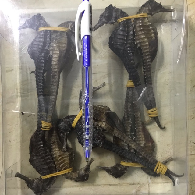 1 cặp cá ngựa size lớn 11-12cm