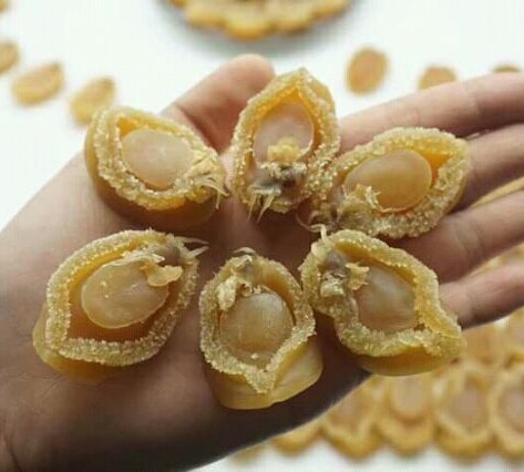 Canh BÀO NGƯ 6 người (có 8 con bào ngư)