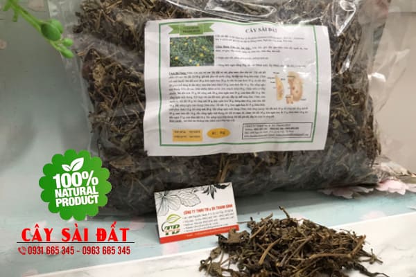Cây sài đất khô 1kg - thảo dược thanh bình
