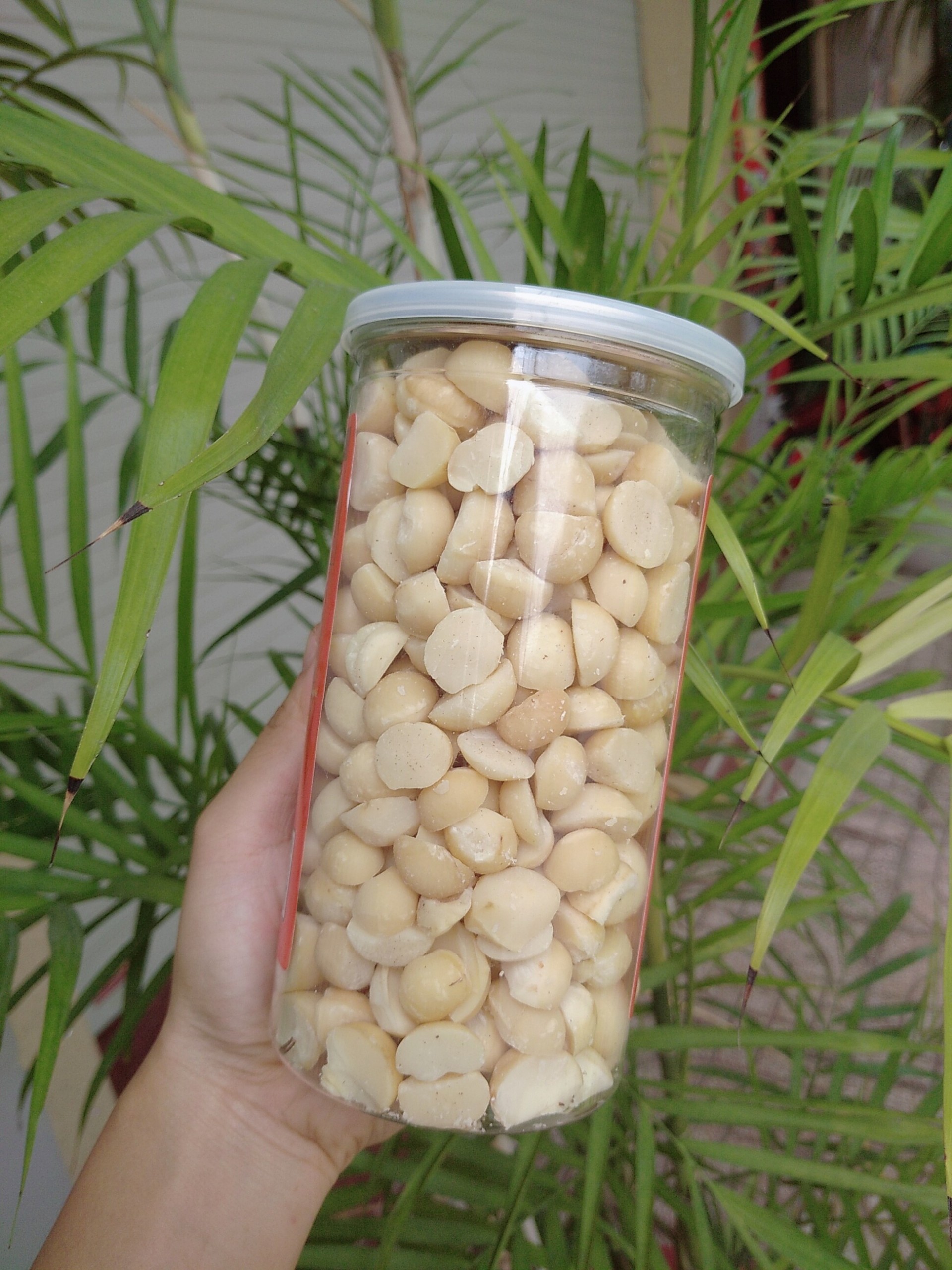 Nhân Hạt Macca Nut Garden - Nhập Khẩu Úc - 500gr