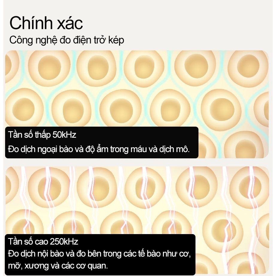 Cân Điện Tử Thông Minh Xiaomi Mijia S400 - MJTZC01YM, đo lượng mỡ và nhiều chỉ số khác của cơ thể, kếp nối app trên điện thoại