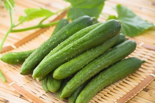 Hạt giống Dưa chuột nếp ta - gói 10 hạt