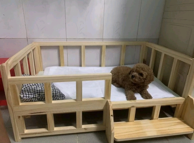 Giường ngủ gỗ sang chảnh cho thú cưng (chó & mèo)