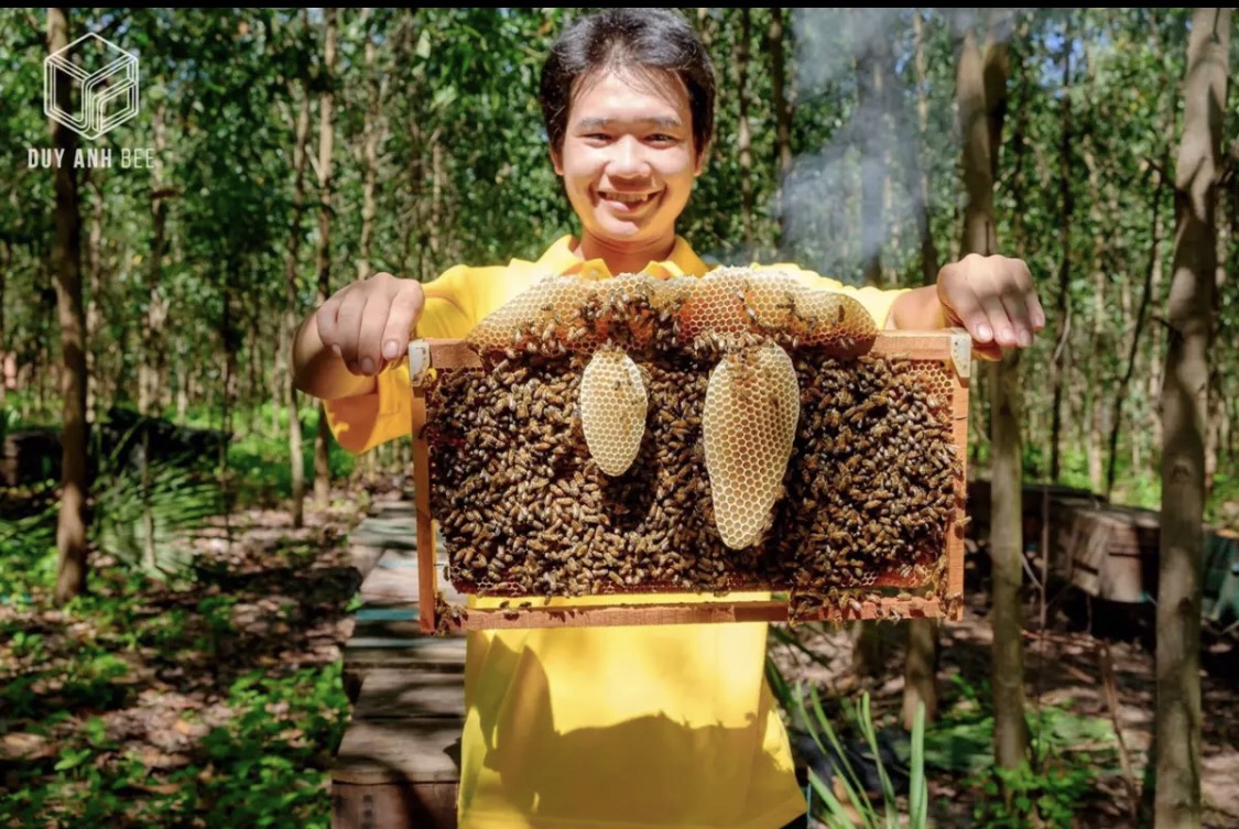 Mật Ong Hoa Chôm Chôm Miele 260g