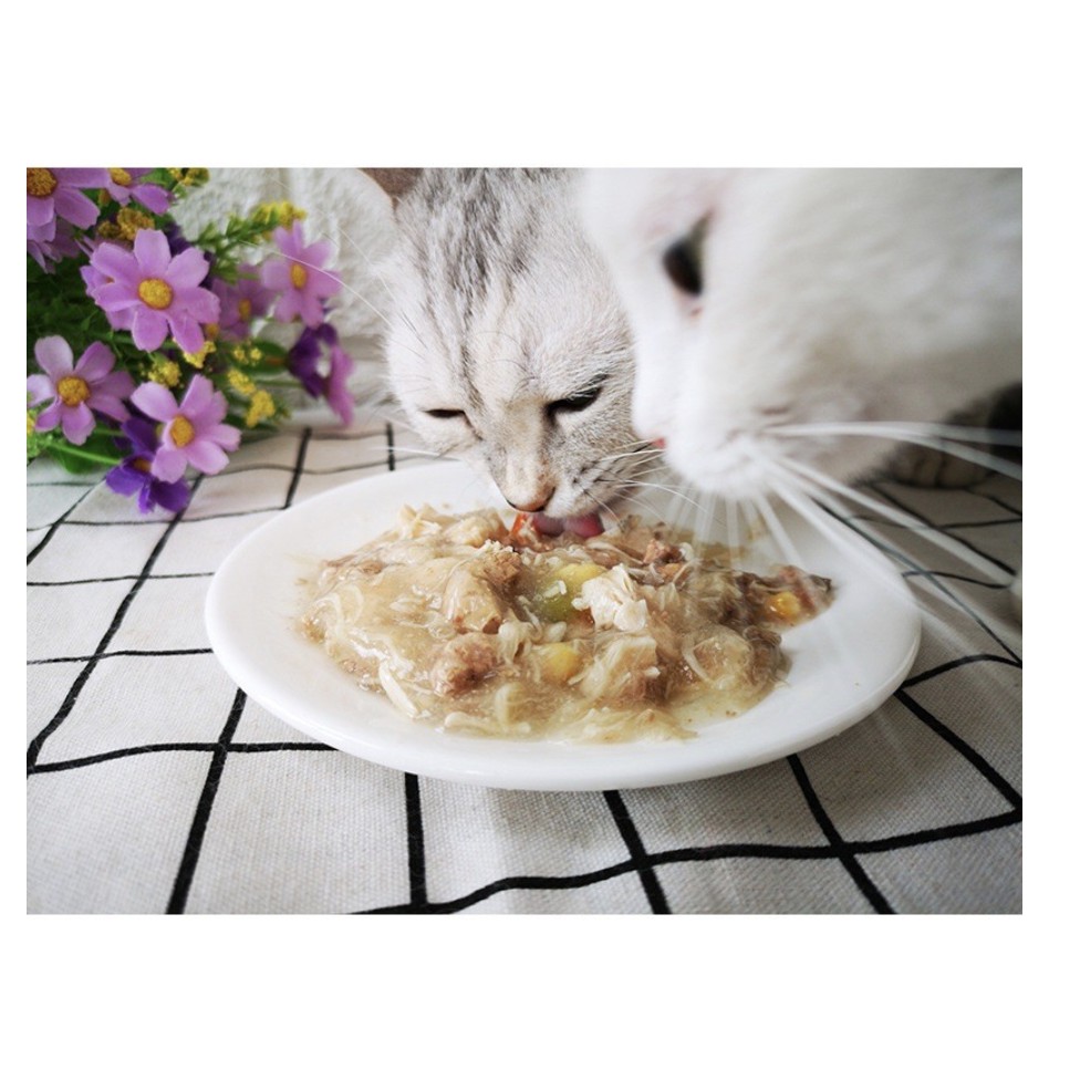 Pate Wanpy Thức ăn ướt cho mèo gói 80g