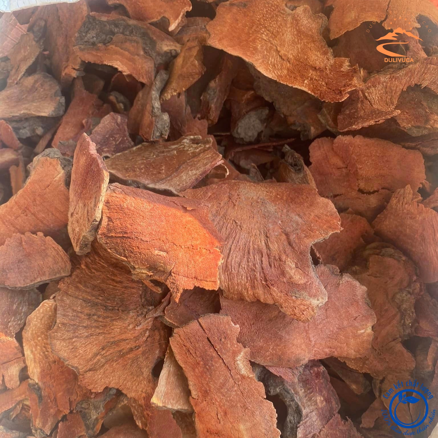 Thổ phục linh, củ khúc khắc đỏ khô khai thác rừng phơi khô từ thổ phục linh, khúc khắc đỏ tươi