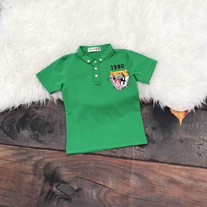 combo 2 áo thun cotton co giãn 4 chiều cho bé từ 10-25 kg