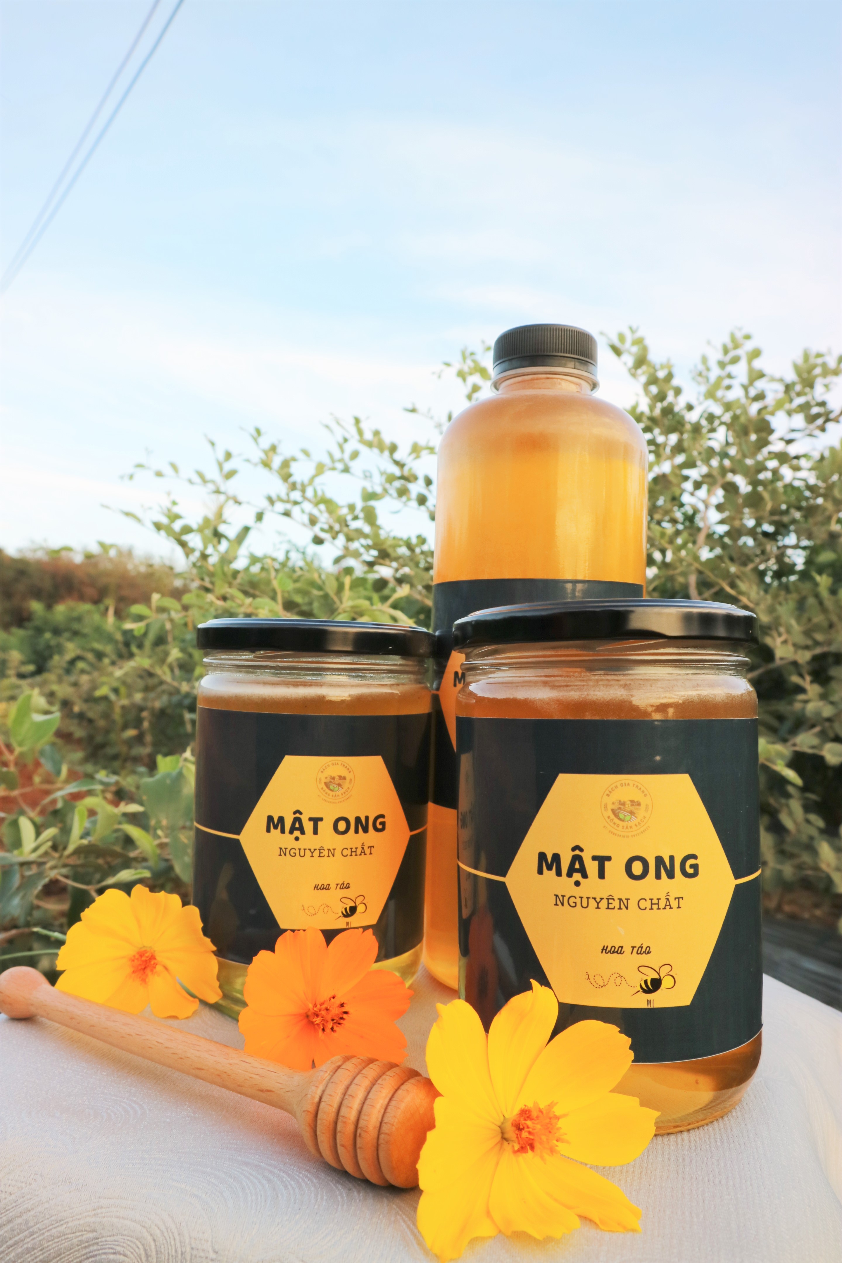 MẬT ONG NGUYÊN CHẤT 100% (Từ hoa táo) - Chai 1 lít