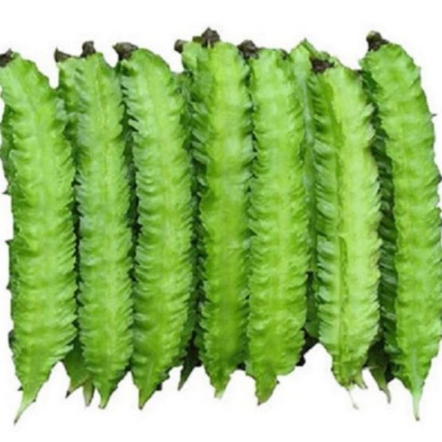 Hạt Giống Đậu Rồng hat giong dau rong (20Gr)