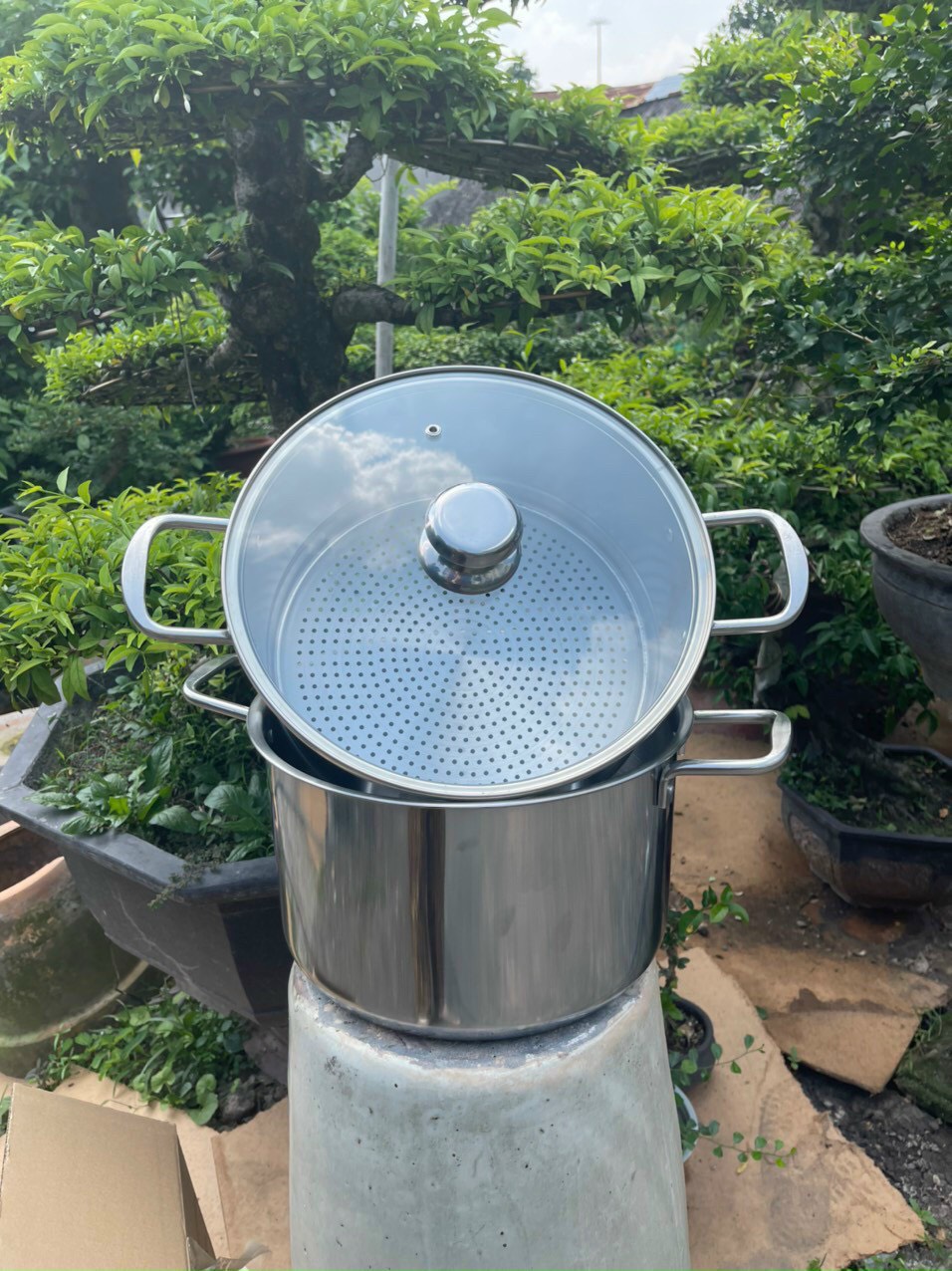 Xửng hấp Fata cook 28cm vung kính