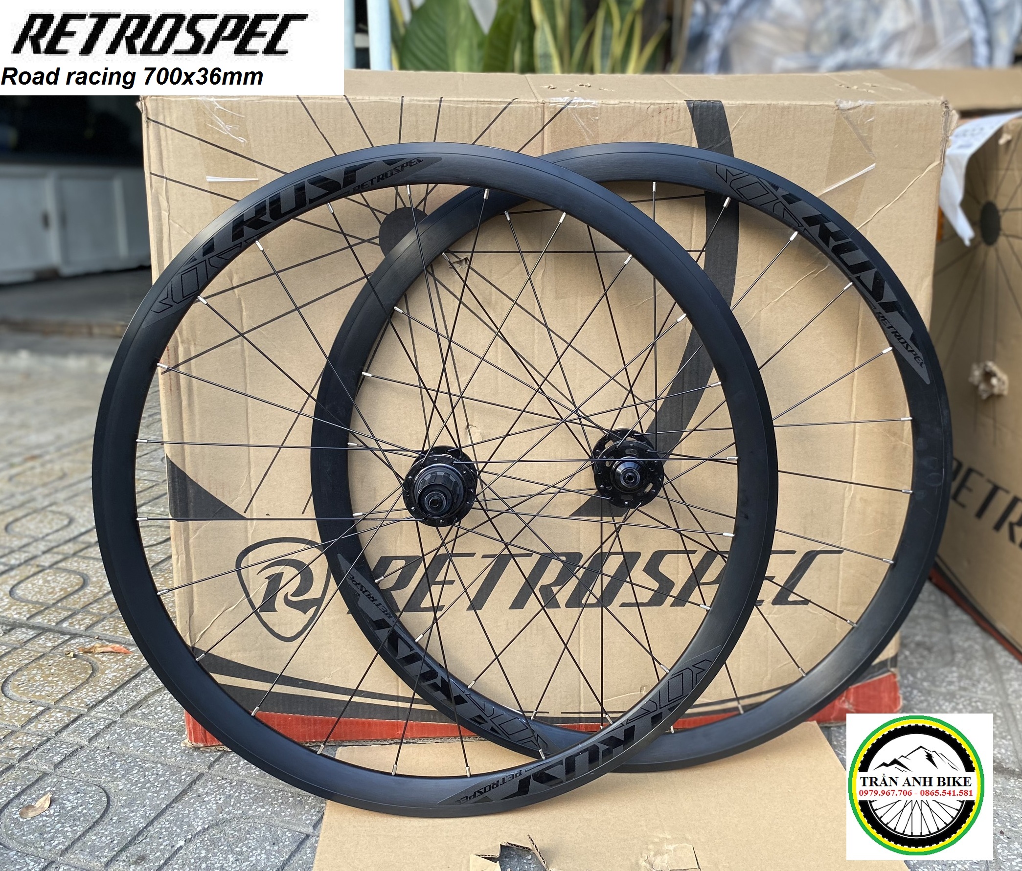 Bộ vành nhôm xe đạp road RETROSPEC RACING 700Cx36mm - Hub Carbon