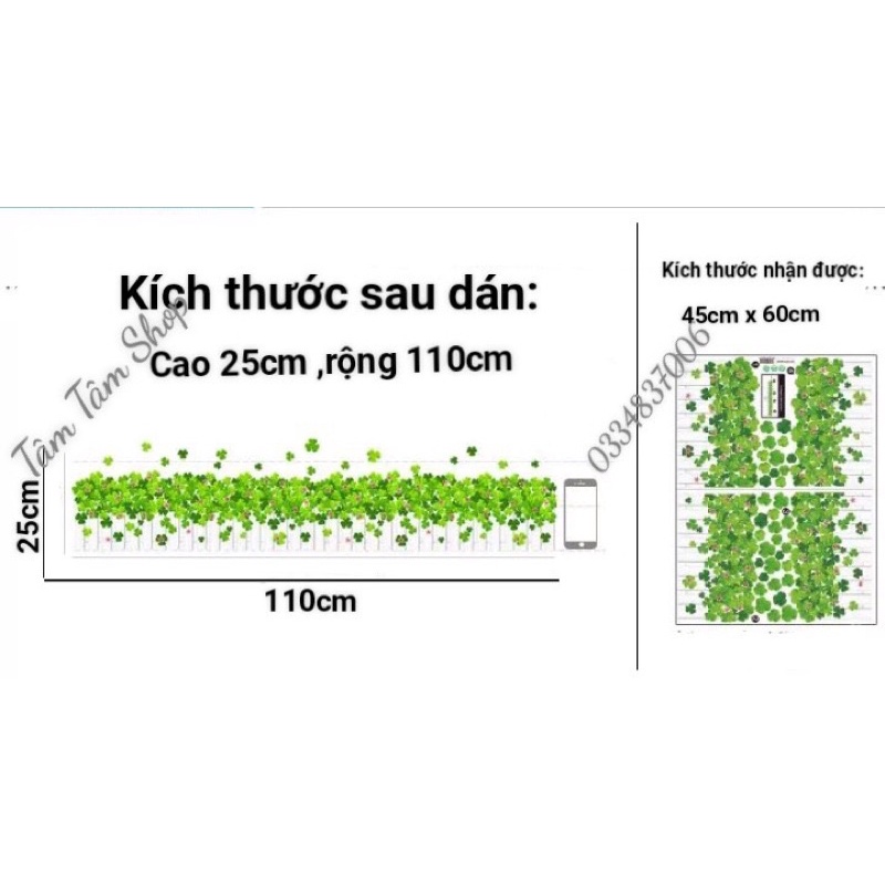 Decal dán chân tường hàng rào cỏ ba lá.