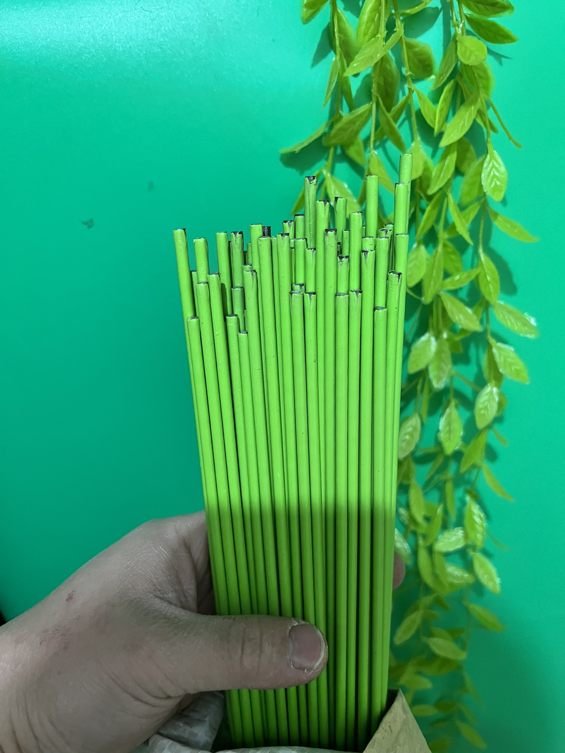 13 (1kg) Que cắm lan xanh dài 1m 4ly