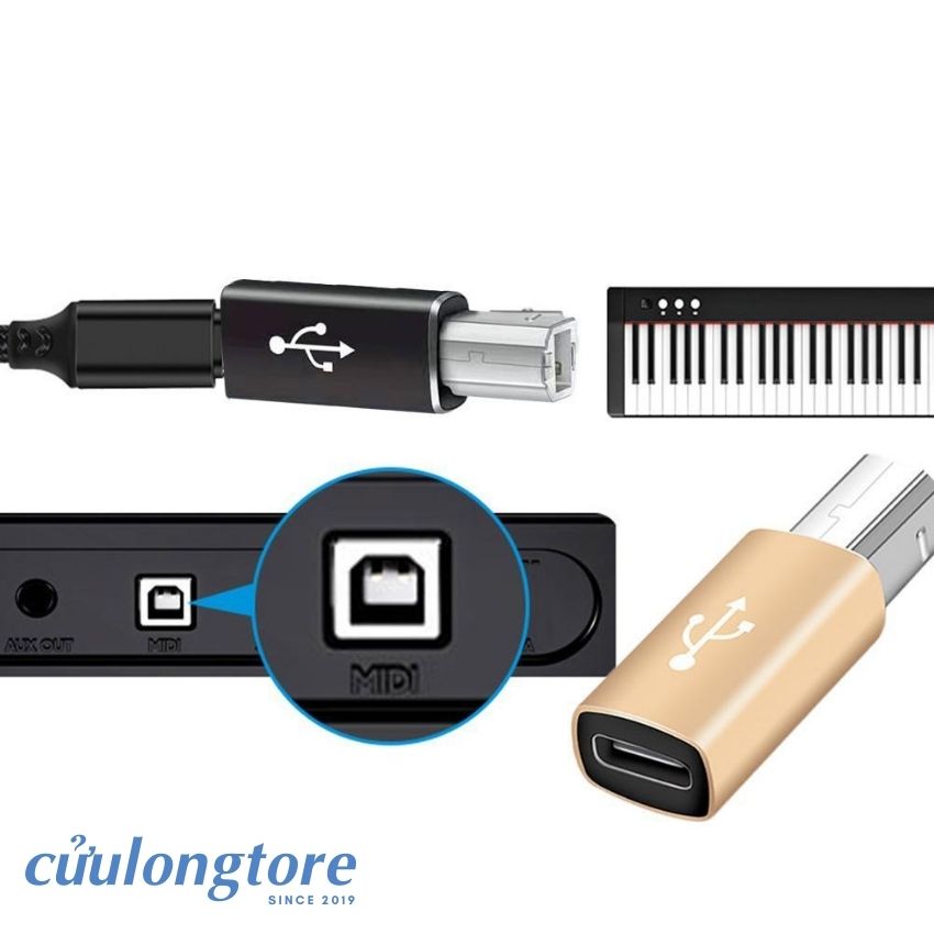 OTG Type C to USB Type B convert type C to type B 2.0 MIDI connector for printer fax machine scanner instrument piano electronic drum DJ