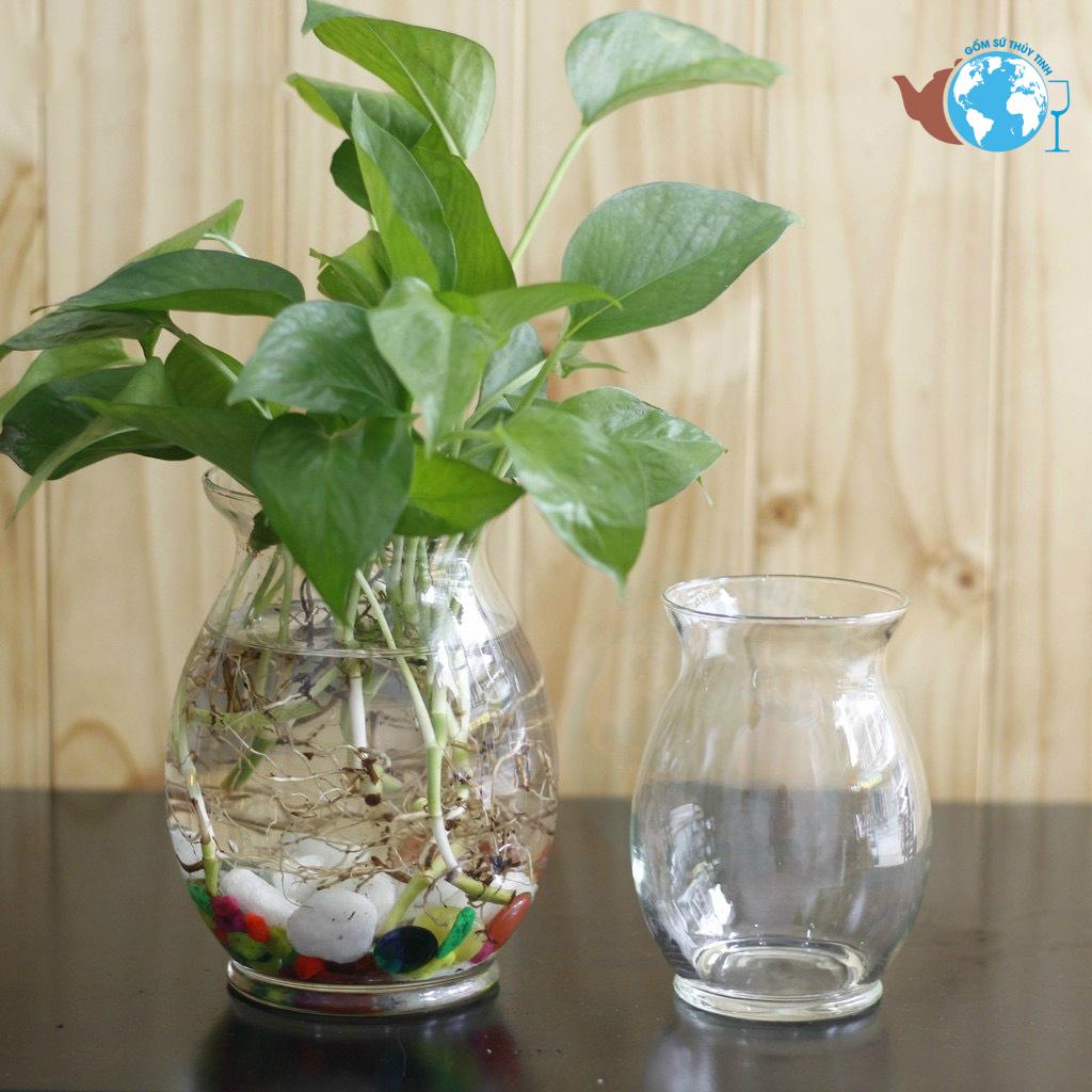 [HCM]2 Chậu trồng cây thủy canh gồm 1 bầu dục lớn và 1 bầu dục nhỏ - 2 lọ thủy tinh