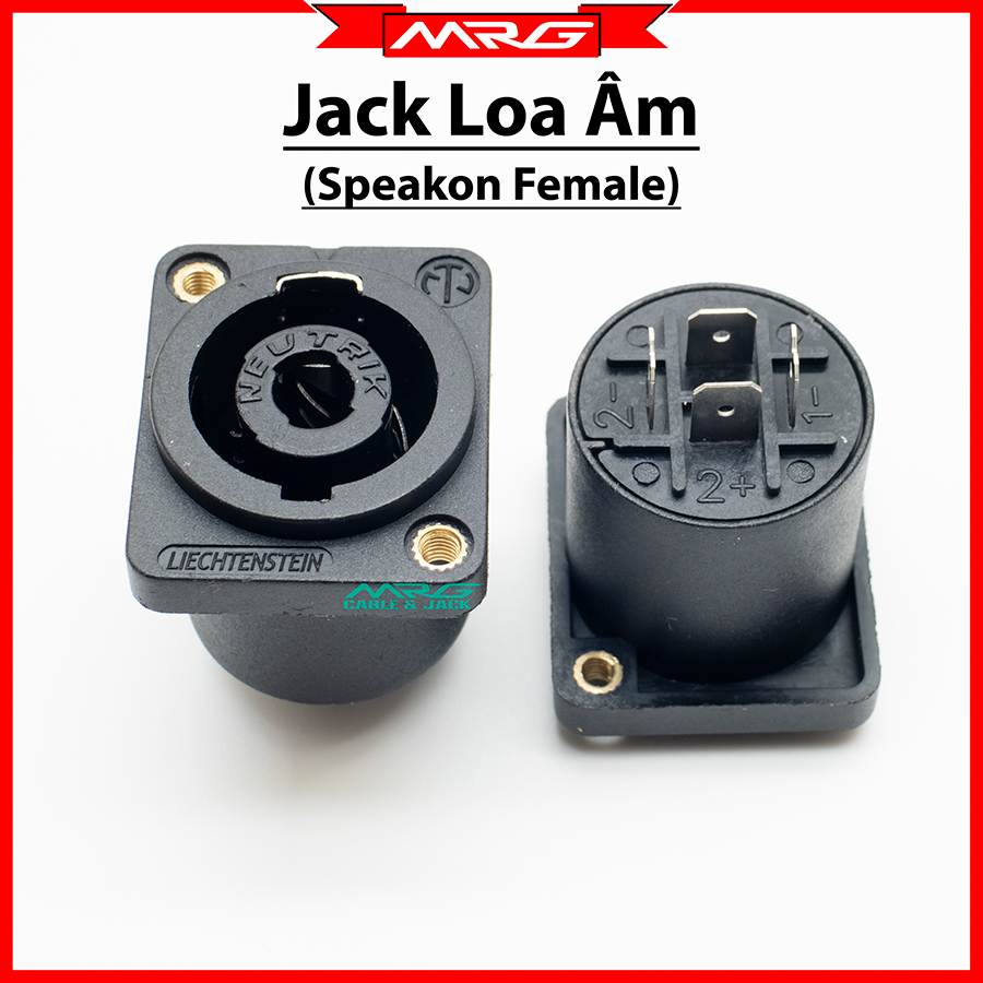 Rack Cắm Loa Âm (speakon female) giá 1 cái - SP | rack loa âm, rack loa cái, jack cái cắm loa, jack speakon âm, rack loa âm, rắc cắm loa