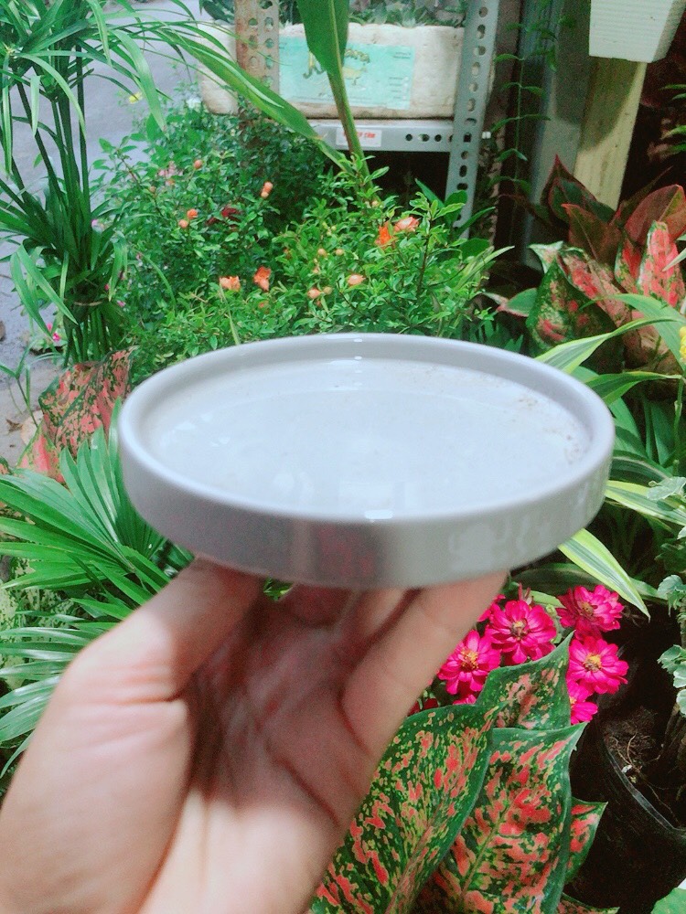 Đĩa Lót Chậu (đường kính 12cm)