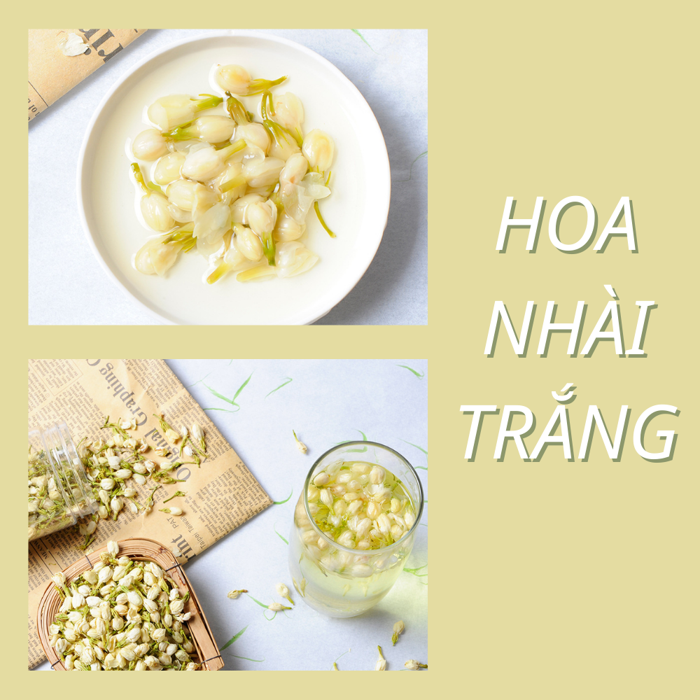 Hoa nhài trắng - trà hoa nhài sấy lạnh (20, 50gr)