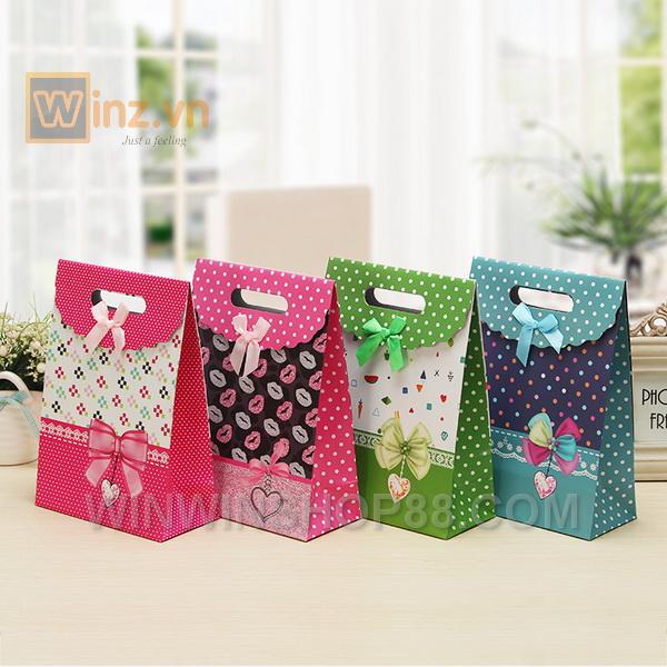 Combo 2 túi quà loại nhỏ 16x21 cm