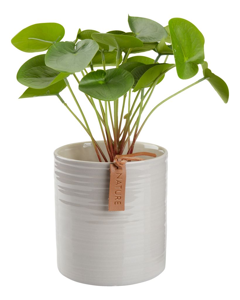 Chậu cây | JYSK Oddvar | gốm dolomite | be | DK12xC14cm