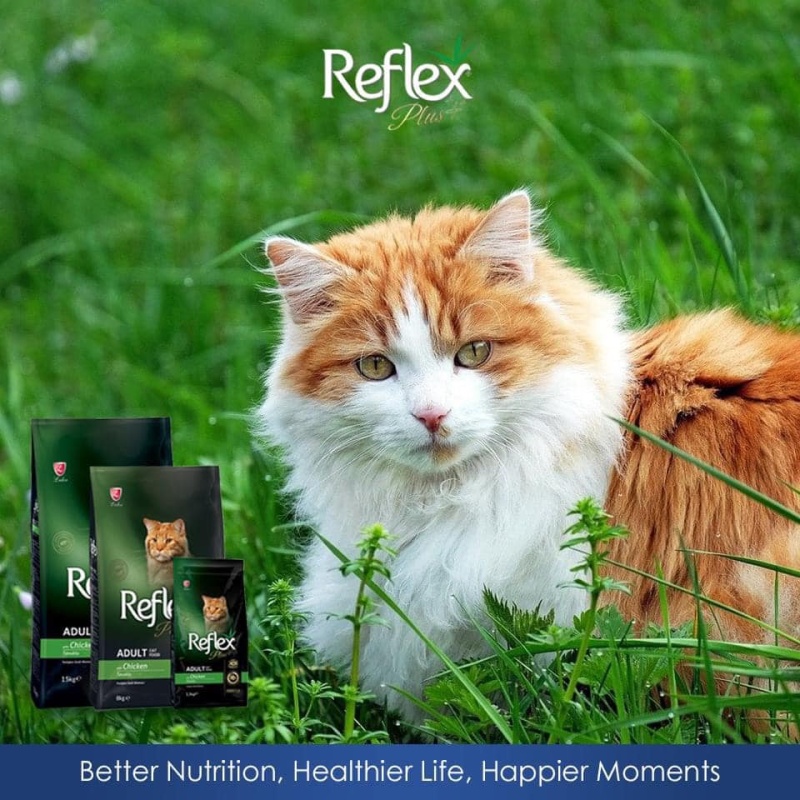 hạt  Reflex PLUS mèo con và trưởng thành  vị gà 1,5kg ( Thức ăn cho mèo Reflex Plus Kitten Adult Food Chicken )