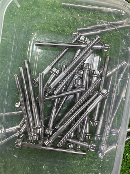 Ốc Salaya size từ 6li1 phân tới 6li9 phân