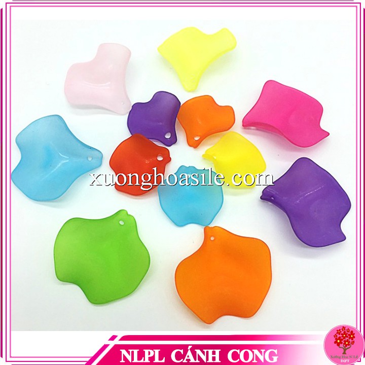 [HCM]CÁNH CONG PHA LÊ (NGUYÊN LIỆU HOA PHA LÊ)