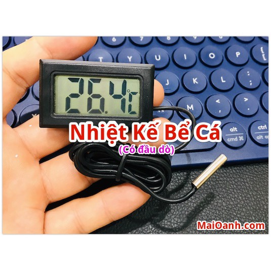 Nhiệt kế điện tử có đầu dò - nhiệt kế hồ cá