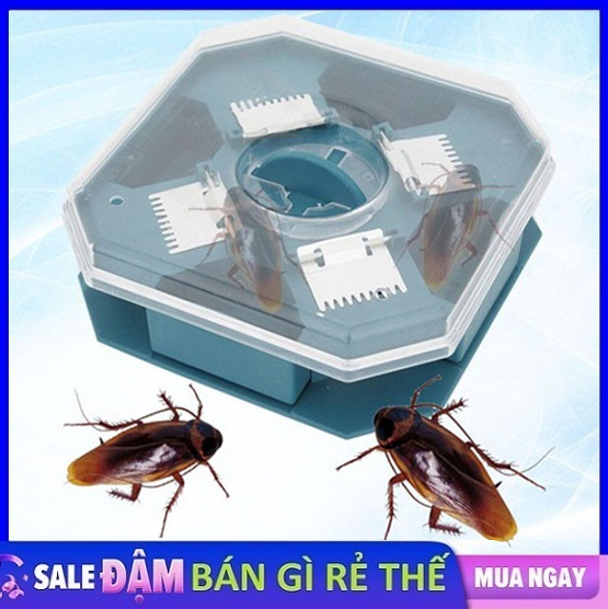 Dụng cụ bắt gián thông minh siêu tiện lợi