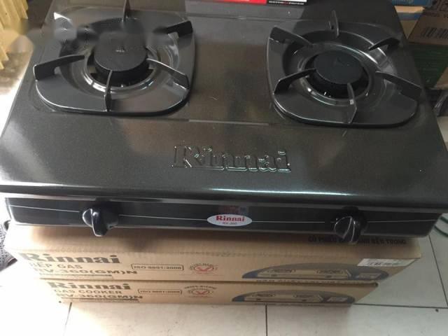 [HCM]Bếp gas đôi Rinnai RV-367(G)N (Đen)