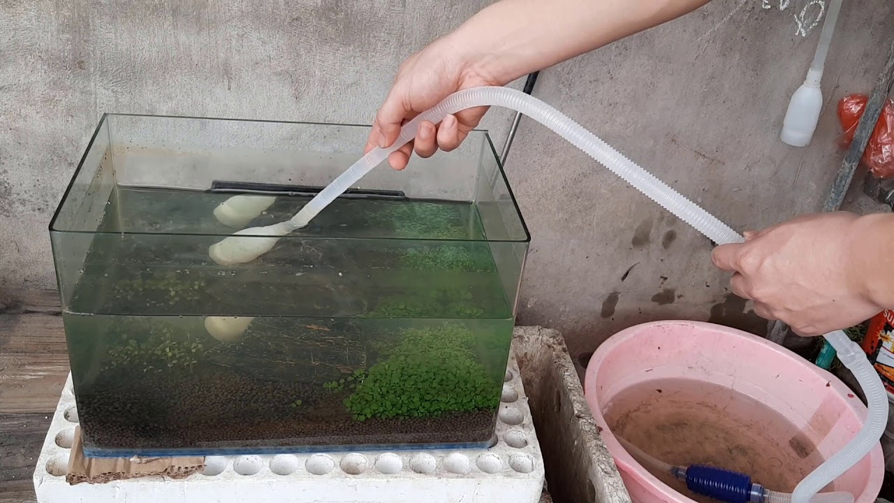Ống bơm tay để hút đáy hút cặn thay nước hồ cá