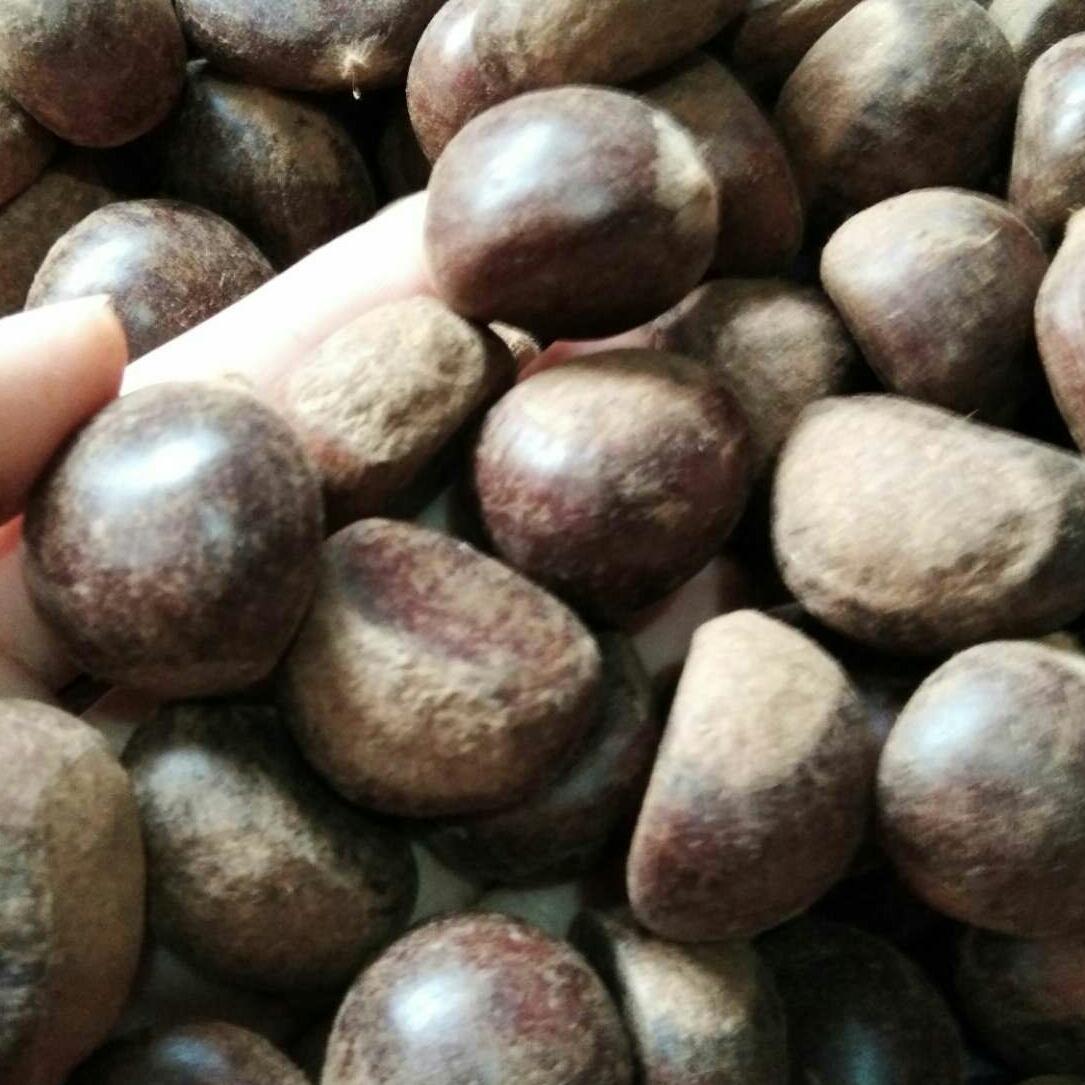 1kg hạt dẻ loại ngon