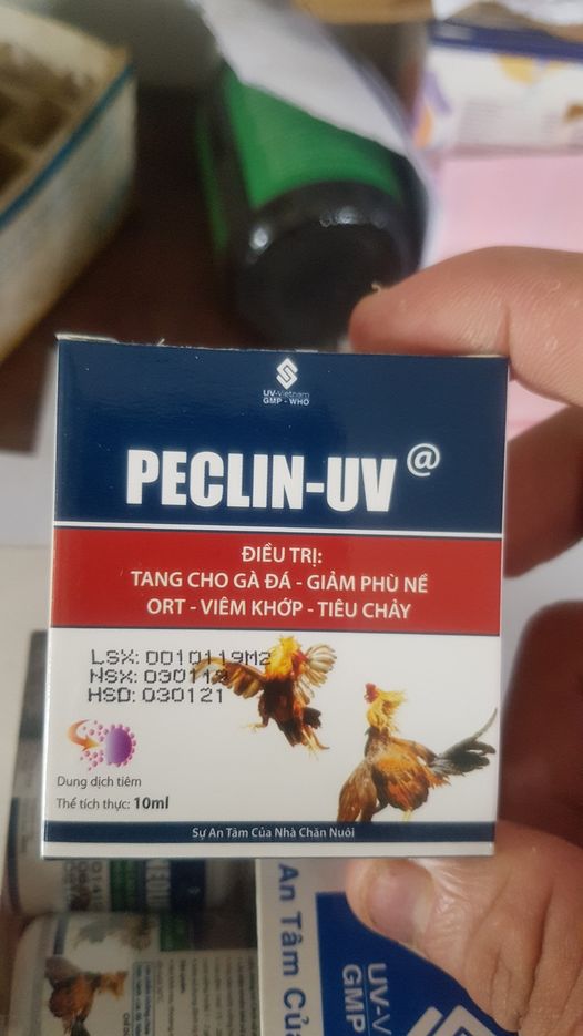 Peclin UV bộ hộp 2 chai 10ml tang cho gà đá, phù nề,khớp, tiêu chảy