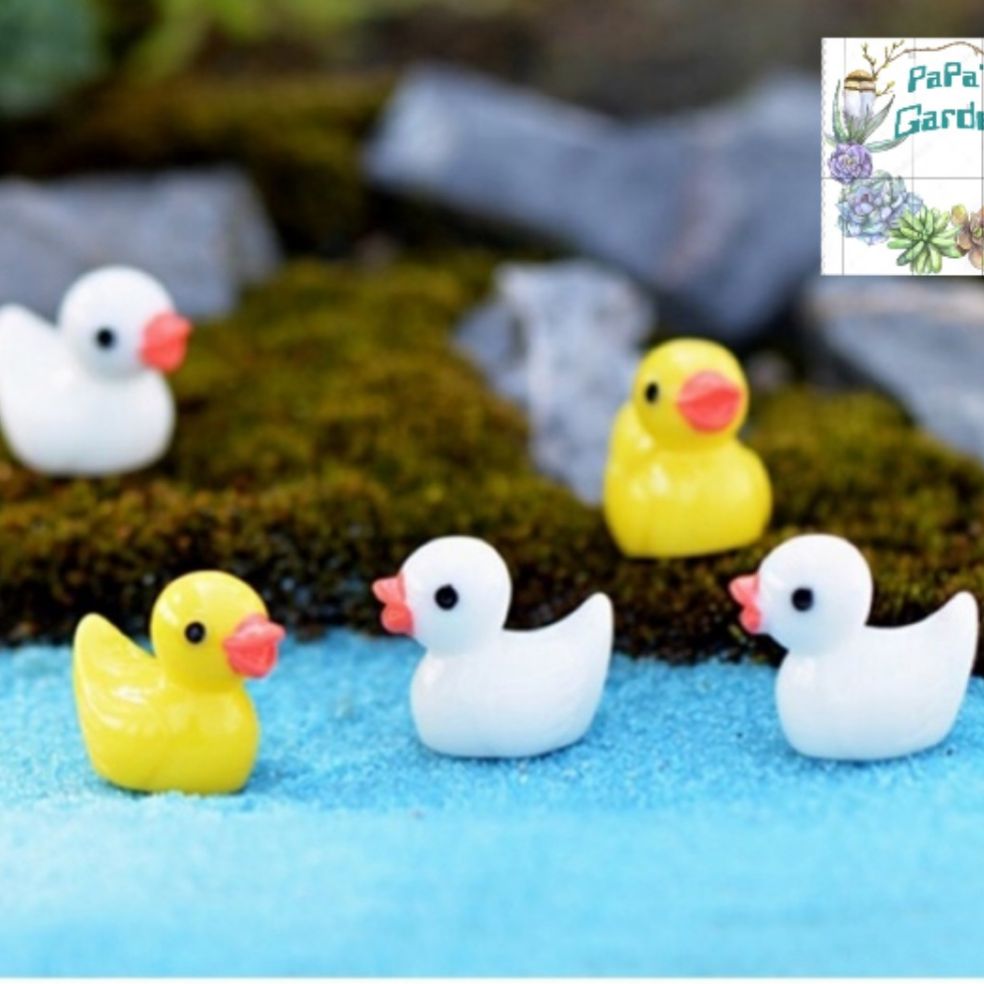 Set 5 con vịt con mini mô hình trang trí tiểu cảnh