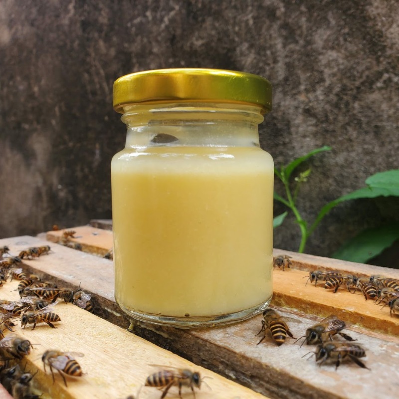 SỮA ONG CHÚA TƯƠI NGUYÊN CHẤT 100gr