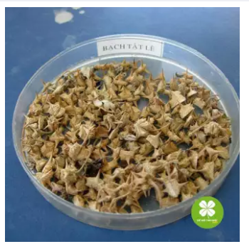 Bạch tật lê (gói 1kg) - LV193